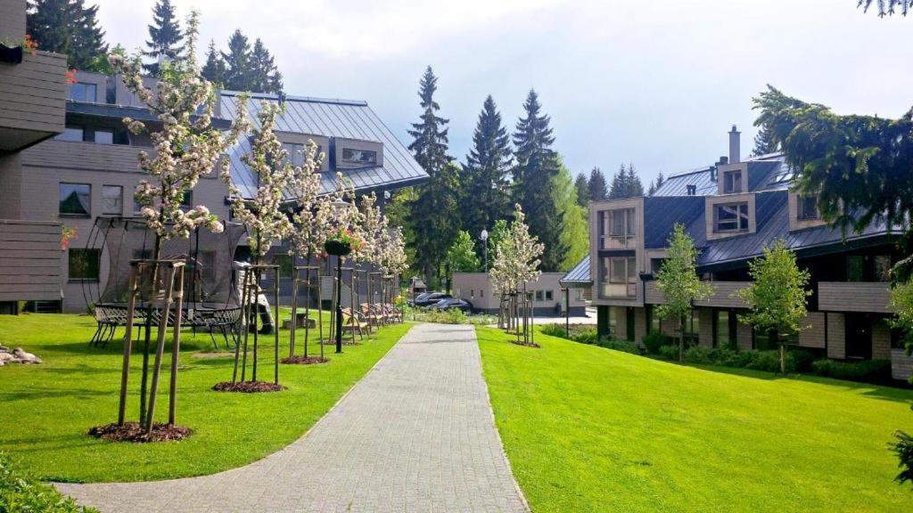Horsky Apartman C303: Sauna Wellness & Breakfast in Anenske Valley Harrachov Exterior photo